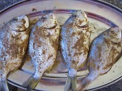 养生食谱大放送