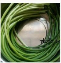 养生食谱大放送