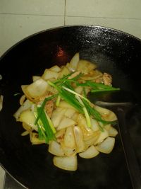 养生食谱大放送