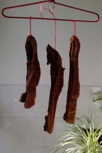 养生食谱大放送