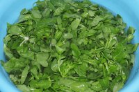 养生食谱大放送