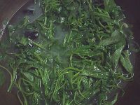 养生食谱大放送