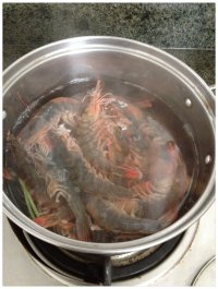 养生食谱大放送