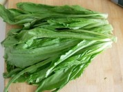 养生食谱大放送