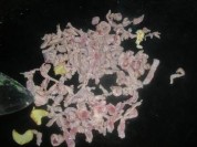 养生食谱大放送