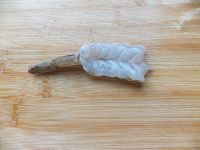 养生食谱大放送