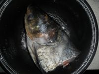 养生食谱大放送