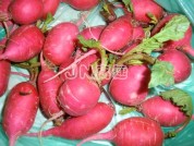 养生食谱大放送