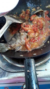 养生食谱大放送