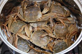 干蒸<a href=/shicai/shuichanpin/PangXie/index.html target=_blank><u>螃蟹</u></a>