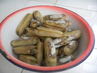 养生食谱大放送