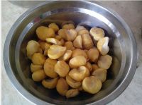 养生食谱大放送