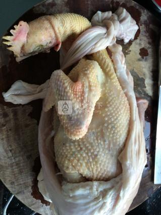 <a href=/shicai/rouqin/ZhuDu/index.html target=_blank><u>猪肚</u></a>鸡