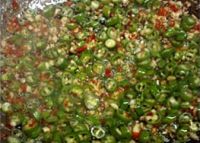 养生食谱大放送