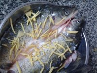 养生食谱大放送