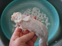 养生食谱大放送