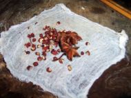 养生食谱大放送