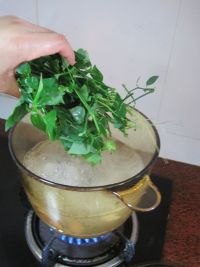 养生食谱大放送