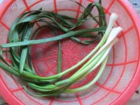 养生食谱大放送