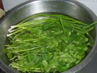 养生食谱大放送