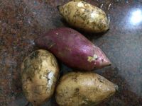 养生食谱大放送