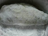 养生食谱大放送