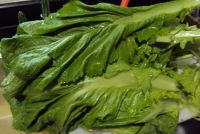 养生食谱大放送