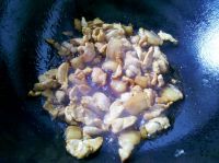 养生食谱大放送