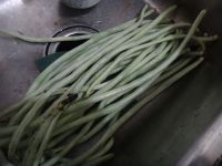 养生食谱大放送