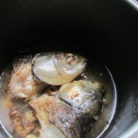 养生食谱大放送