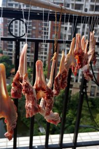 养生食谱大放送