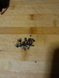 养生食谱大放送