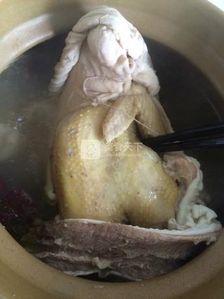 <a href=/shicai/rouqin/ZhuDu/index.html target=_blank><u>猪肚</u></a>鸡