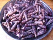 养生食谱大放送