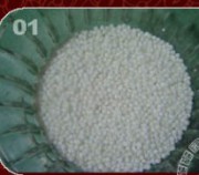 养生食谱大放送