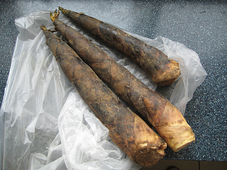 <a href=/shicai/rouqin/YaTui/index.html target=_blank><u>鸭腿</u></a>炖<a href=/shicai/shucai/ChunSun/index.html target=_blank><u>春笋</u></a>