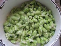 养生食谱大放送