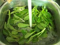 养生食谱大放送