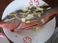 养生食谱大放送