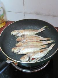 养生食谱大放送