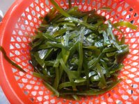 养生食谱大放送