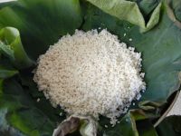 养生食谱大放送