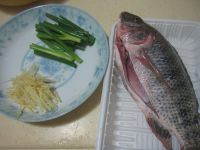 养生食谱大放送