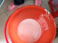 养生食谱大放送