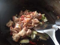 养生食谱大放送