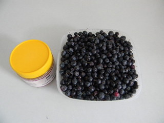 <a href=/shicai/guopin/LanMei/index.html target=_blank><u>蓝莓</u></a>果酱