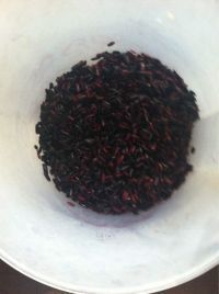 <a href=/shicai/guopin/MangGuo/index.html target=_blank><u>芒果</u></a><a href=/shicai/mimian/NuoMi/index.html target=_blank><u>糯米</u></a>巴菲