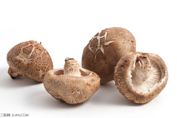 <a href=/shicai/shucai/XiangGu/index.html target=_blank><u>香菇</u></a>不能和什么食物一起吃