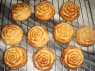 养生食谱大放送