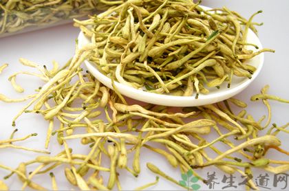 肝热吃什么中药好